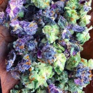Master Kush Strain
