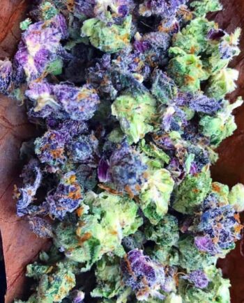 Master Kush Strain