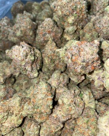 Gelato Strain