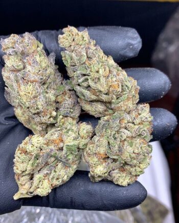 Chemdawg