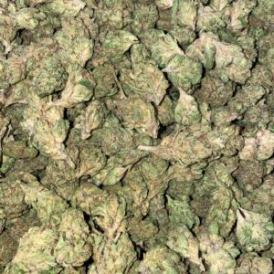 Jack Herer Strain