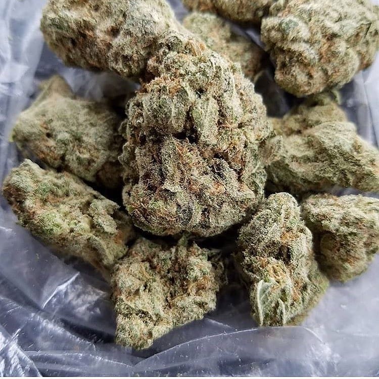 Wedding Gelato Strain
