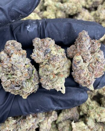 Frozen Grapes Strain