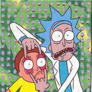 Rick & Morty Acid LSD Blotter