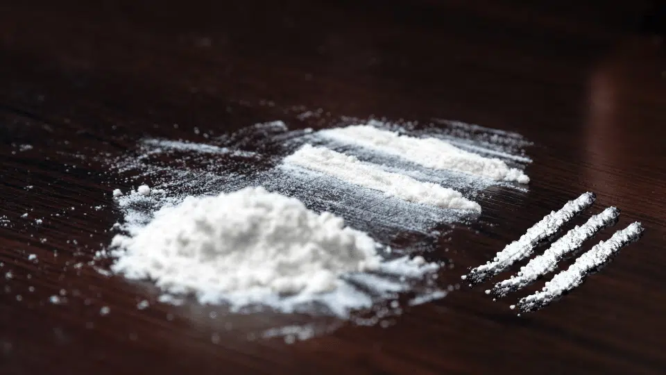 Cocaine Powder 14 grams
