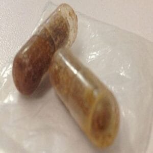 Molly Capsules